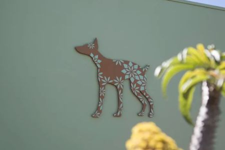 Bodhi Animal Hospital, A Thrive Pet Healthcare Partner