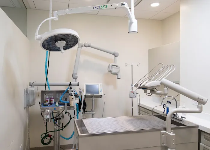 Bodhi Animal Hospital, A Thrive Pet Healthcare Partner 12