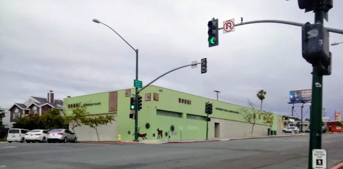 Bodhi Animal Hospital, A Thrive Pet Healthcare Partner 12