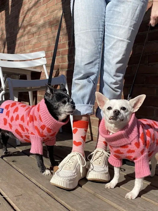 Paw De Deux 4