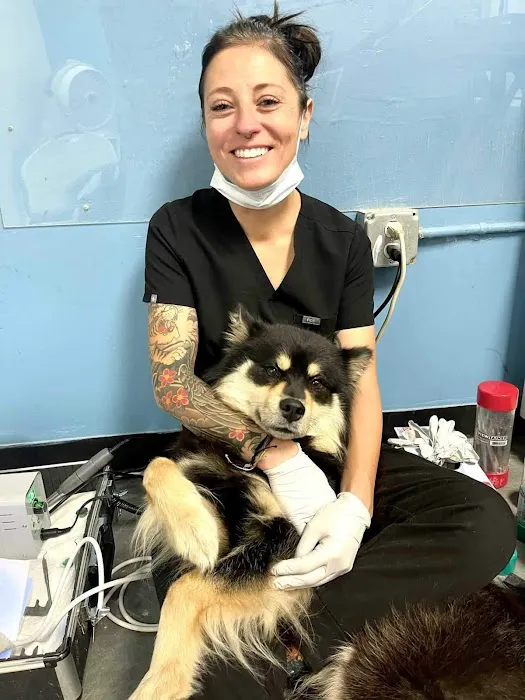 ELITE PET DENTAL 4