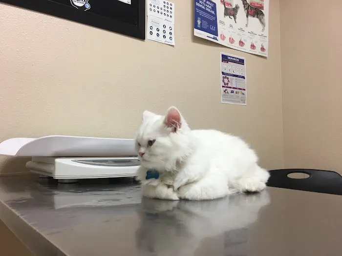 Pet Hospital of North Park 12