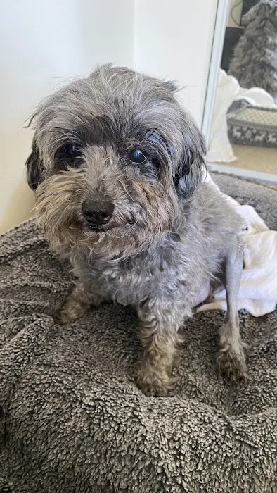 Pet Hospital of North Park 12