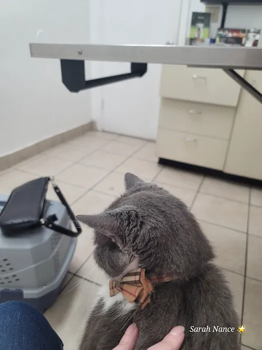 Pet Hospital of North Park 12