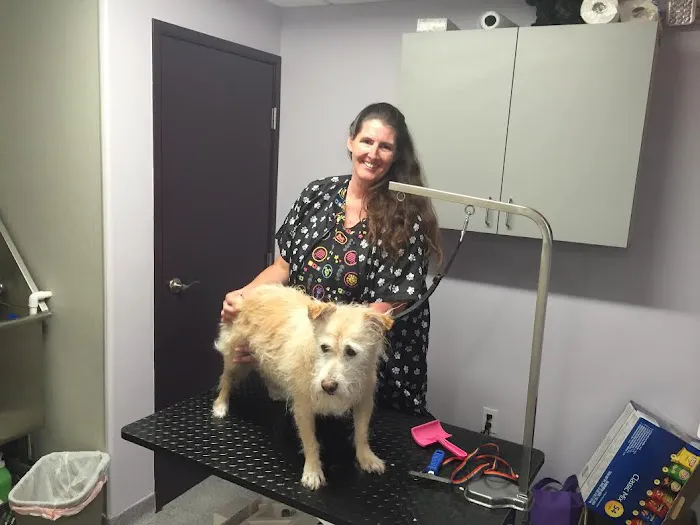 Pet Health Center of La Jolla 12