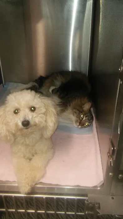 Pet Health Center of La Jolla 12