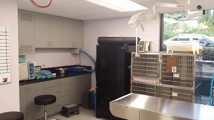 Pet Health Center of La Jolla 12