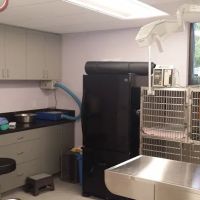 Pet Health Center of La Jolla ico