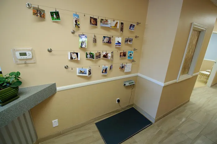 Coastal Animal Hospital 10