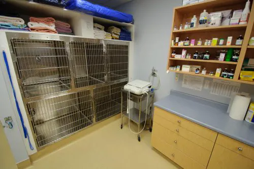 Coastal Animal Hospital 4