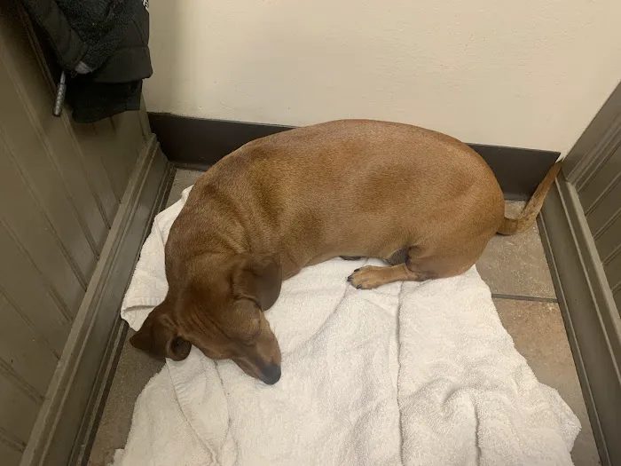 Meadow View Veterinary Clinic 12