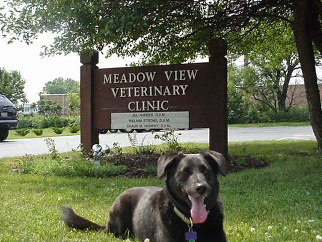 Meadow View Veterinary Clinic 12