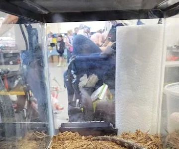 Pittsburgh Mega Reptile Expo