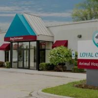 Loyal Companions ico