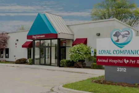 Loyal Companions