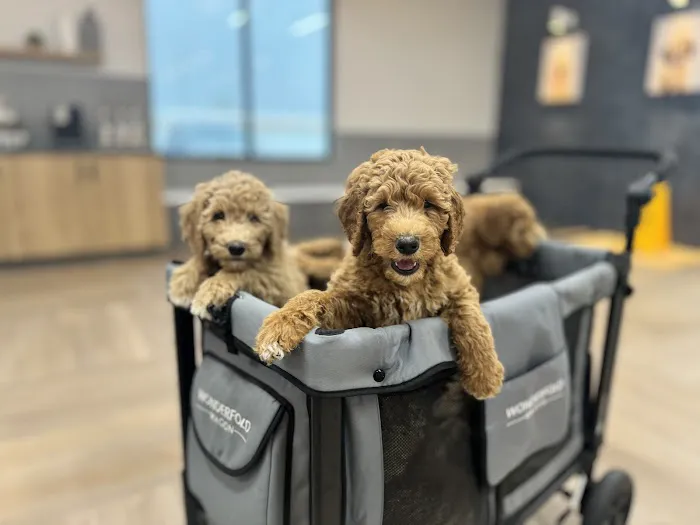 River West Animal Hospital 12