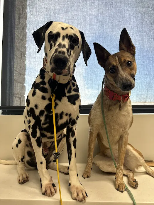 River West Animal Hospital 12