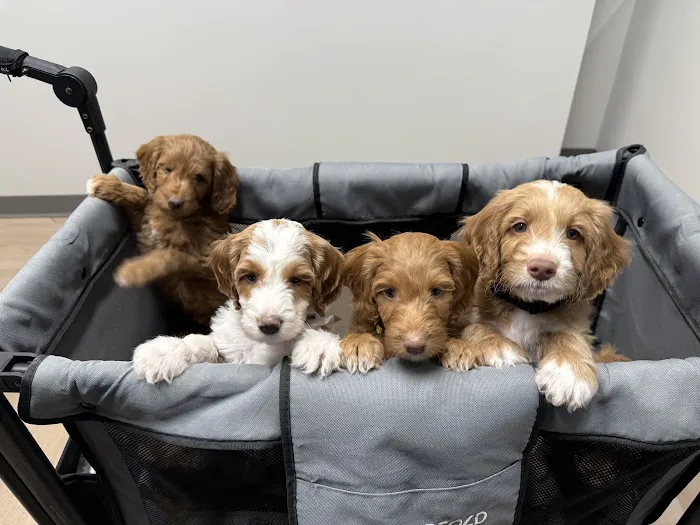River West Animal Hospital 12