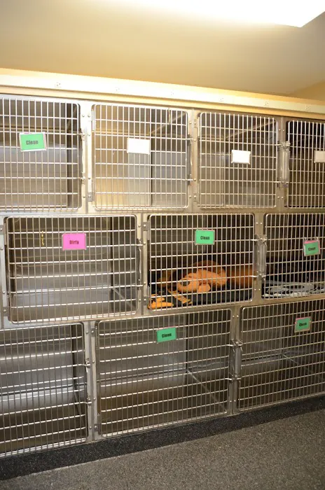 Gateway Veterinary Clinic 12