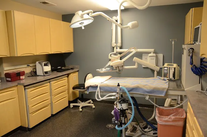 Gateway Veterinary Clinic 12