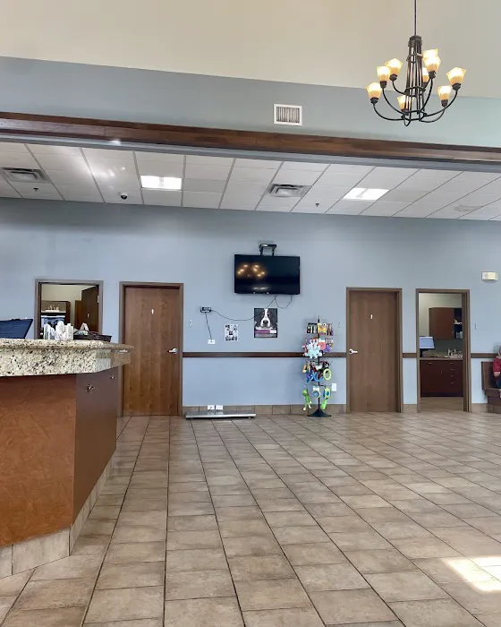 Yorkville Animal Hospital 12