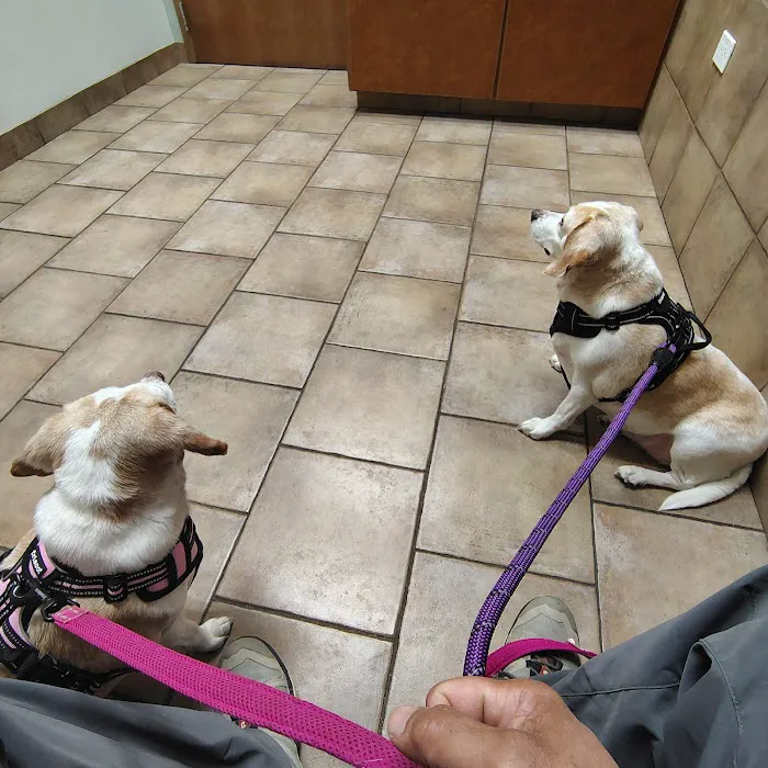 Yorkville Animal Hospital 12