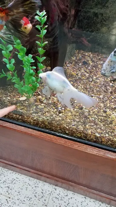 Wet Pets And Friends 6