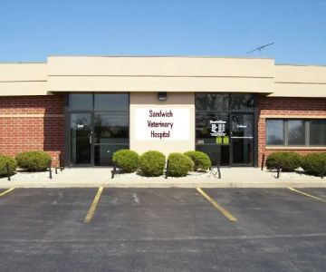 Sandwich Veterinary Hospital