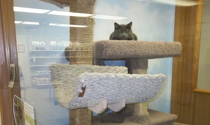 Sandwich Veterinary Hospital 10
