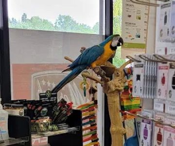 Petland Norwin