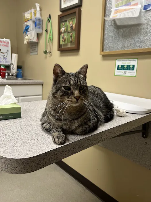 Minooka Animal Hospital 12