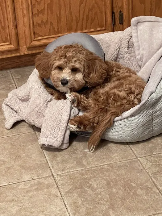 Minooka Animal Hospital 12