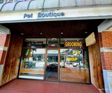 Pet Boutique