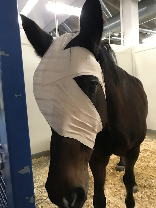 Country Care Animal Hospital, PC 12
