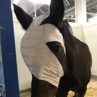 Country Care Animal Hospital, PC ico