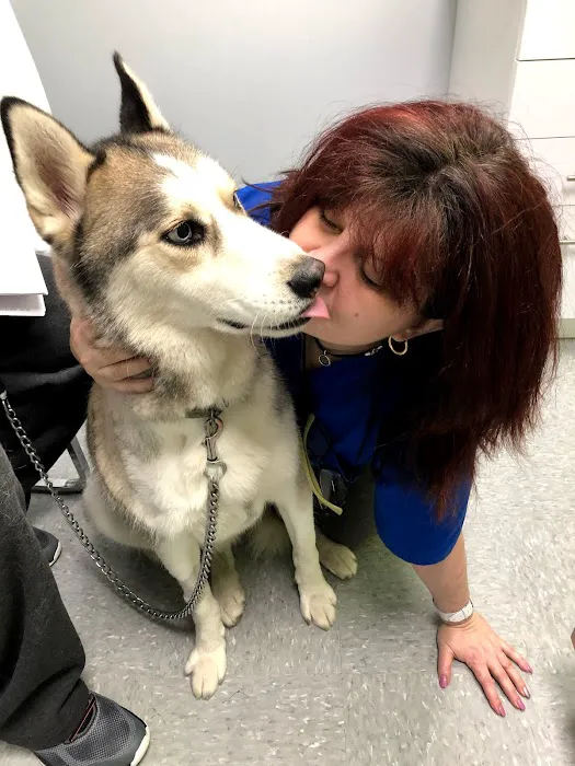 Saddle Brook Veterinary Center 12