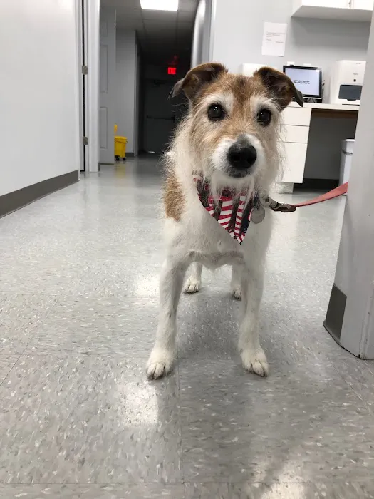 Saddle Brook Veterinary Center 12