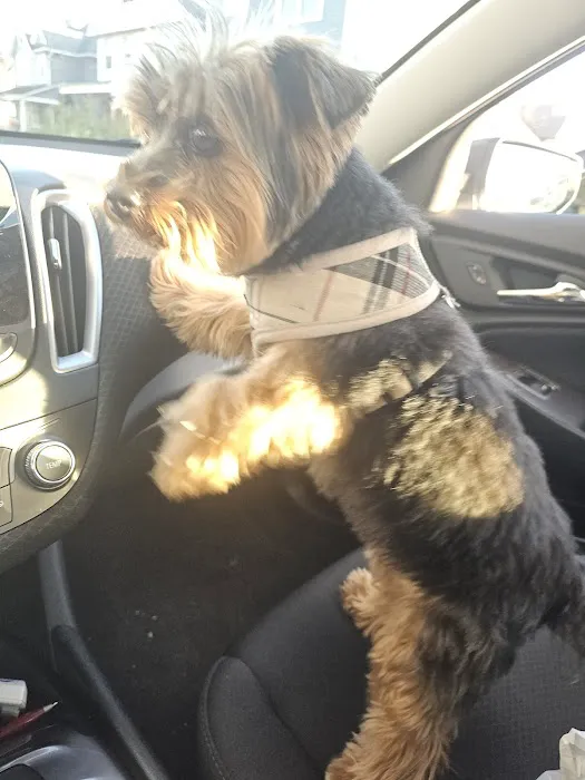 Banfield Pet Hospital 12