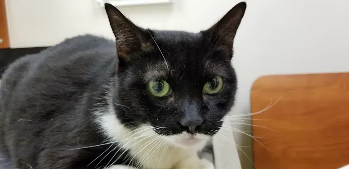 Banfield Pet Hospital 12