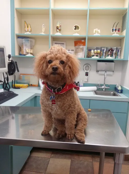 Banfield Pet Hospital 12