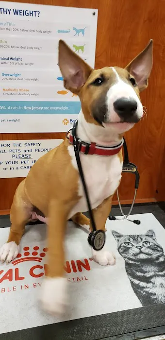 Banfield Pet Hospital 12