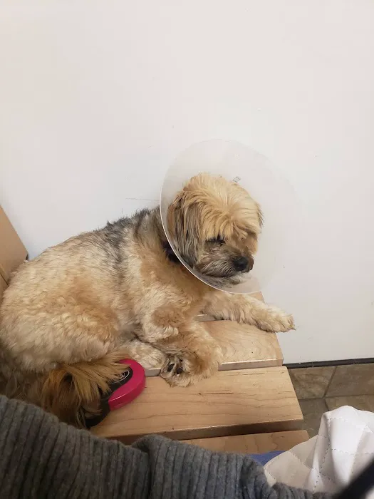 Banfield Pet Hospital 12