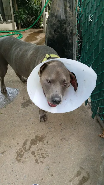 Parkview Animal Hospital 12