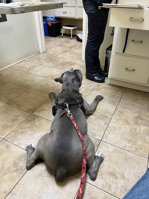 Parkview Animal Hospital 12
