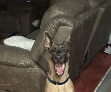 Pawsitive Pet Products