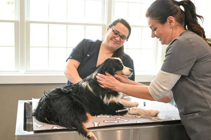 Symbios Animal Health 12
