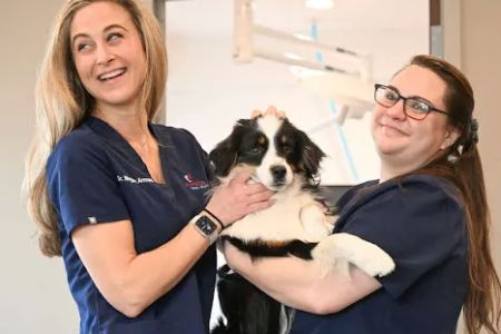 Symbios Animal Health