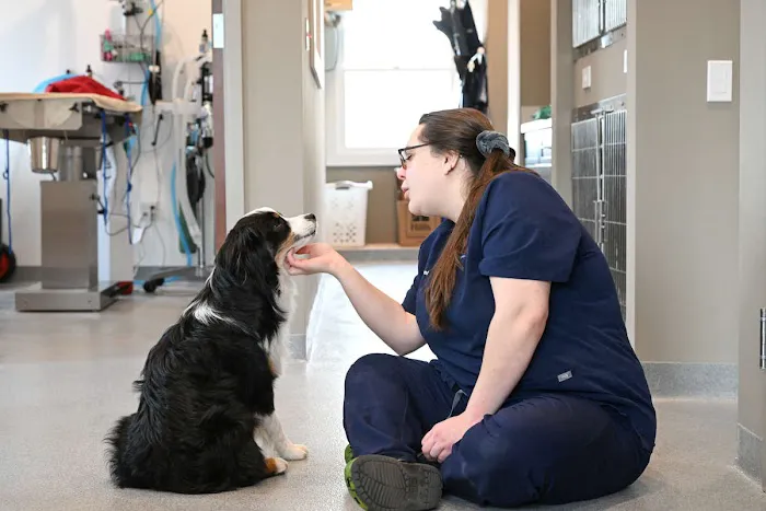 Symbios Animal Health 12