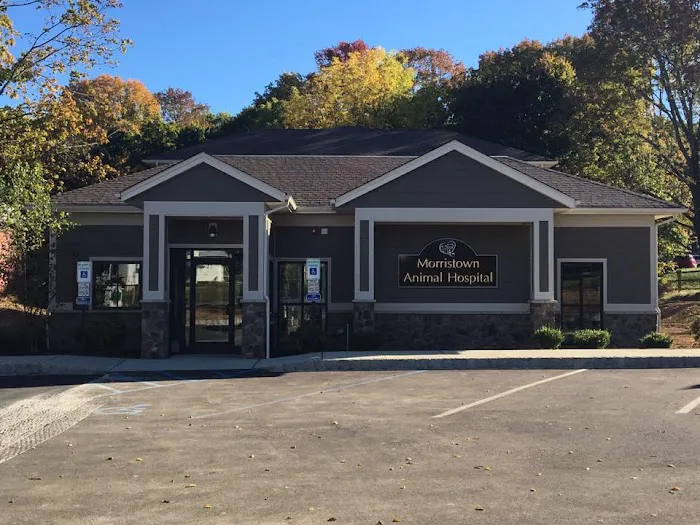 Morristown Animal Hospital 9