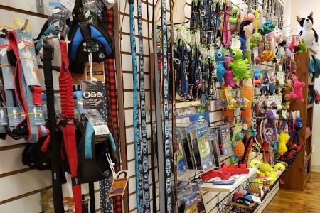 Ligonier Paws on Main